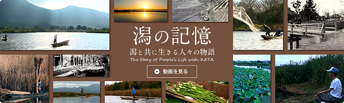 潟の記憶