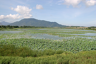 写真2：佐潟の風景