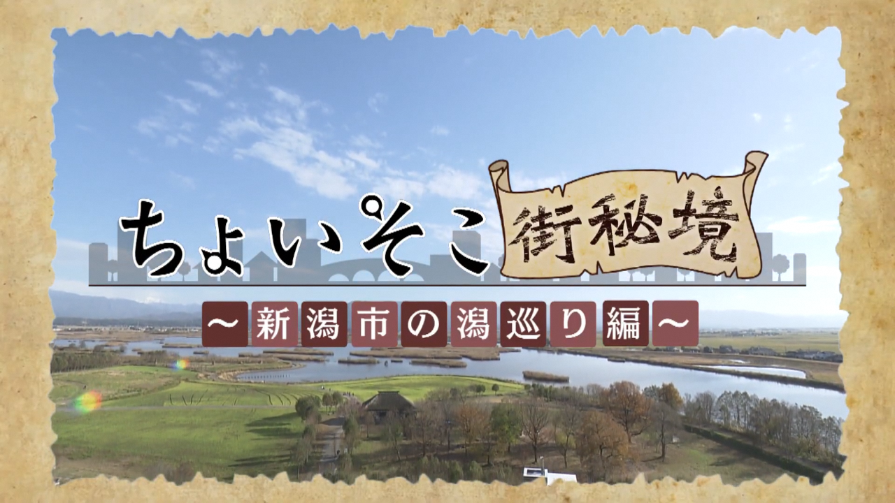 TeNY新潟一番で「新潟市の”潟”を巡る!!」番組が放送されました！