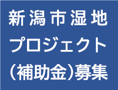 「新潟市湿地プロジェクト補助金」の事業を募集します【令和７年度後期分】