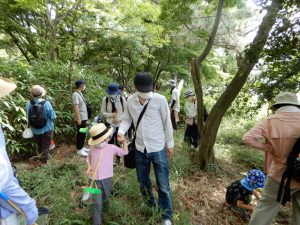 鳥屋野潟昆虫観察会