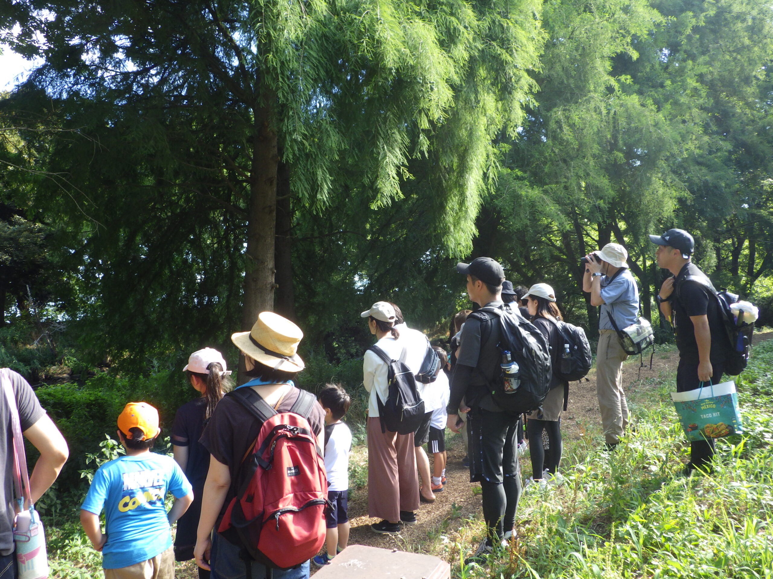 鳥屋野潟「公園のお散歩会」開催のお知らせ（9月6日（土））