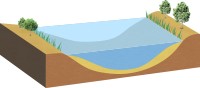 水辺の湿性林とヨシ群落がある程度で抽水生物もほとんど見られません。